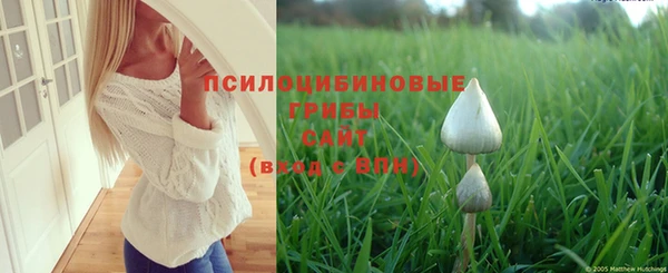 гашик Новодвинск