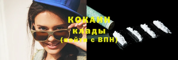 гашик Новодвинск