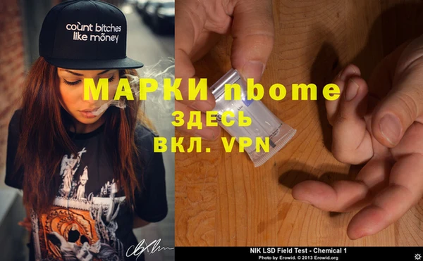 гашик Новодвинск