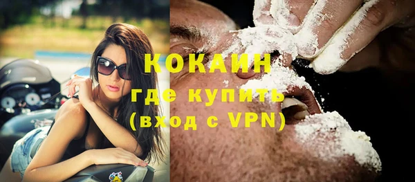гашик Новодвинск