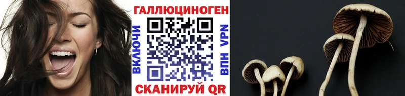 Купить  Спас-Клепики  Галлюциногенные грибы Magic Shrooms 